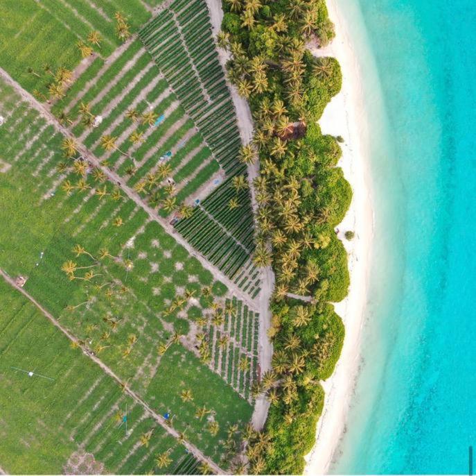 Kingsway Thoddoo Maldives Hotel ภายนอก รูปภาพ